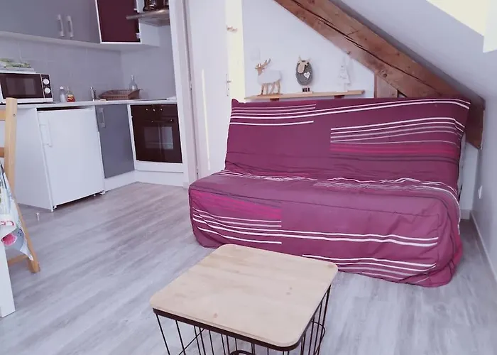 Appartement Cosy Hyper Centre *