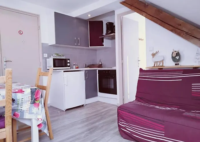 Appartement Cosy Hyper Centre Le Mont-Dore